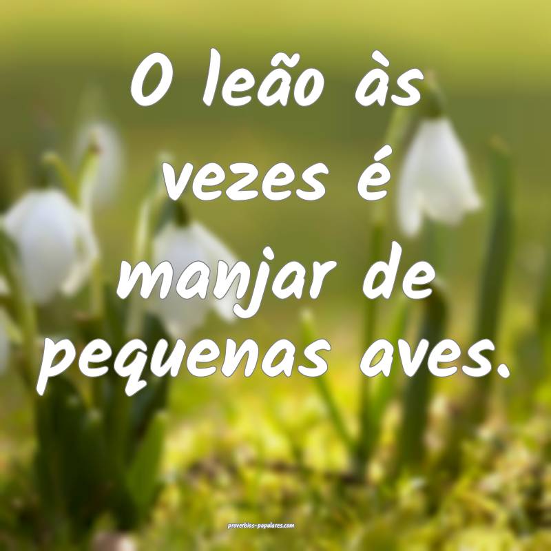 O leão às vezes é manjar de pequenas aves.
...