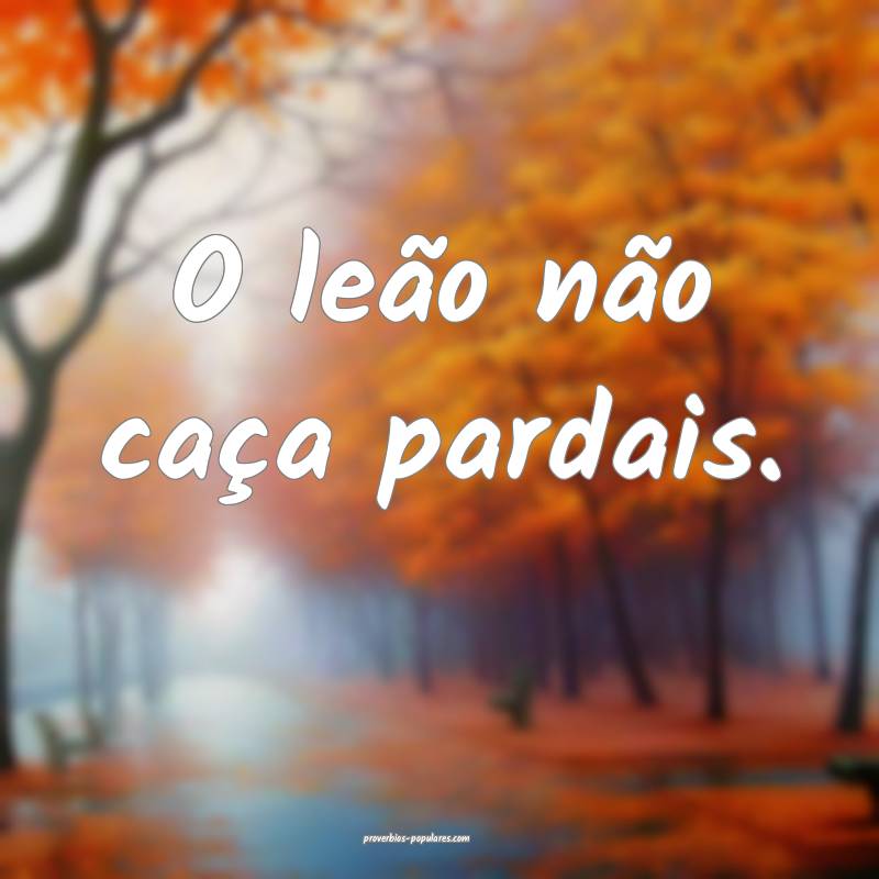 O leão não caça pardais.
...