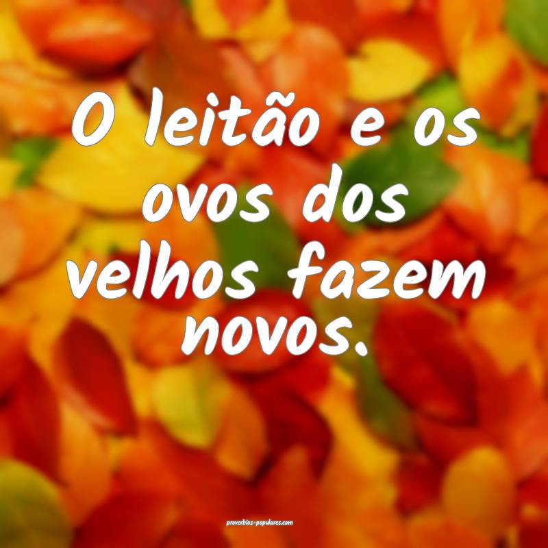 O leitão e os ovos dos velhos fazem novos.
 ...