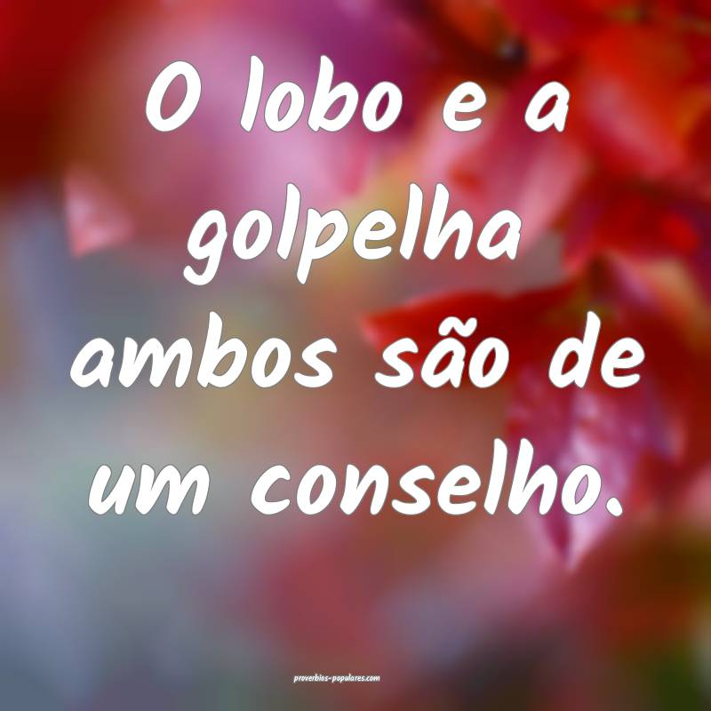 O lobo e a golpelha ambos são de um conselho.
...