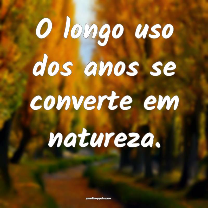 O longo uso dos anos se converte em natureza.
 ...