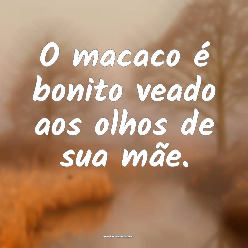 O macaco é bonito veado aos olhos de sua mãe.
...