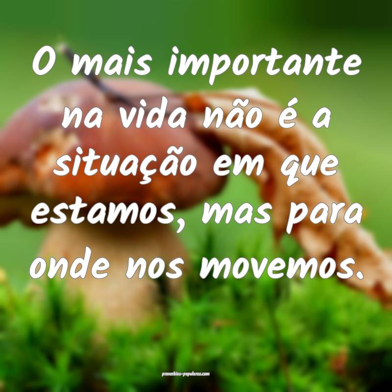 O mais importante na vida não é a situação em  ...