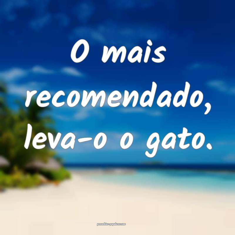 O mais recomendado, leva-o o gato.
...