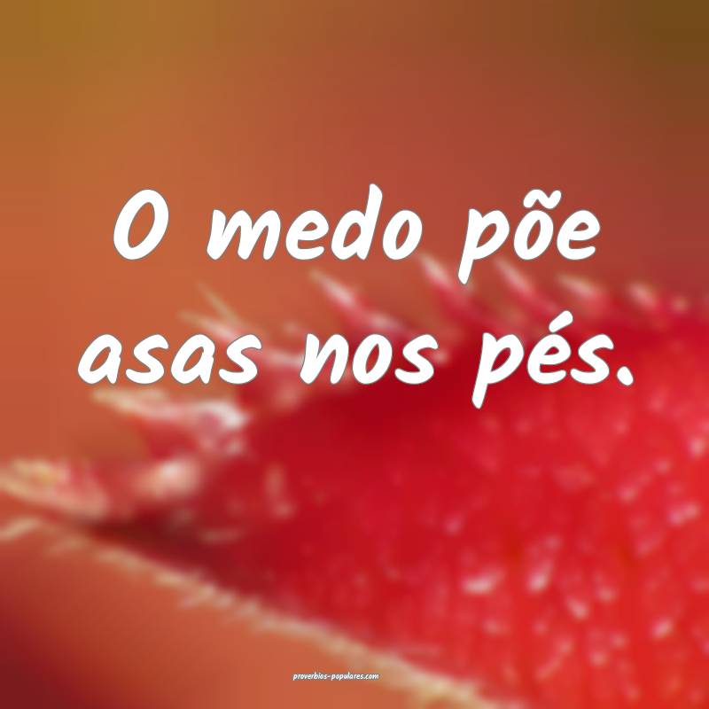 O medo põe asas nos pés.
 ...