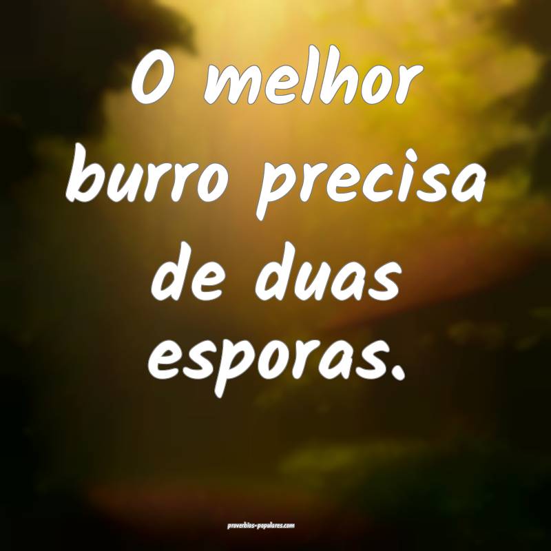 O melhor burro precisa de duas esporas.
 ...