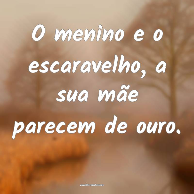 O menino e o escaravelho, a sua mãe parecem de ouro.
...