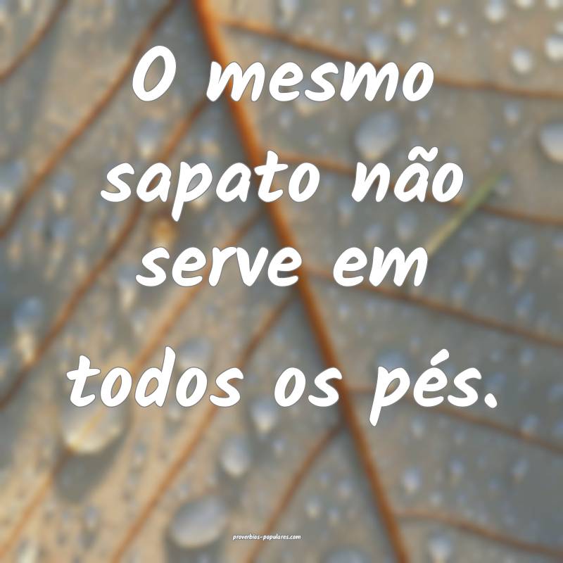 O mesmo sapato não serve em todos os pés.
 ...