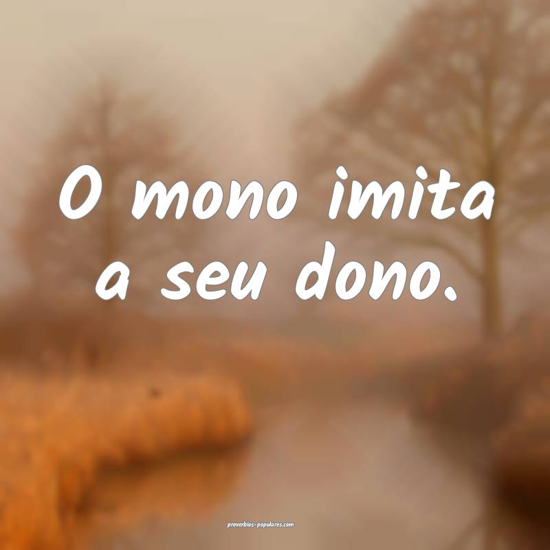 O mono imita a seu dono.
...