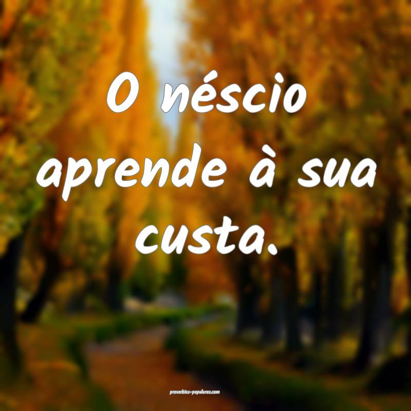 O néscio aprende à sua custa.
...