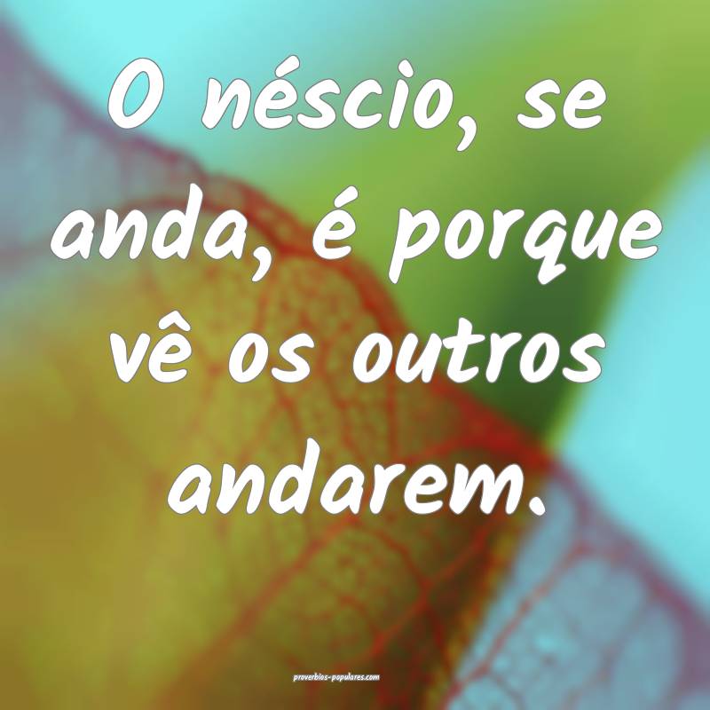 O néscio, se anda, é porque vê os outros andarem.
...