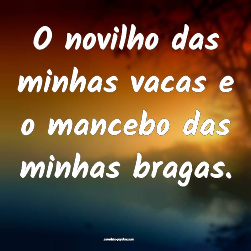 O novilho das minhas vacas e o mancebo das minhas bragas.
...