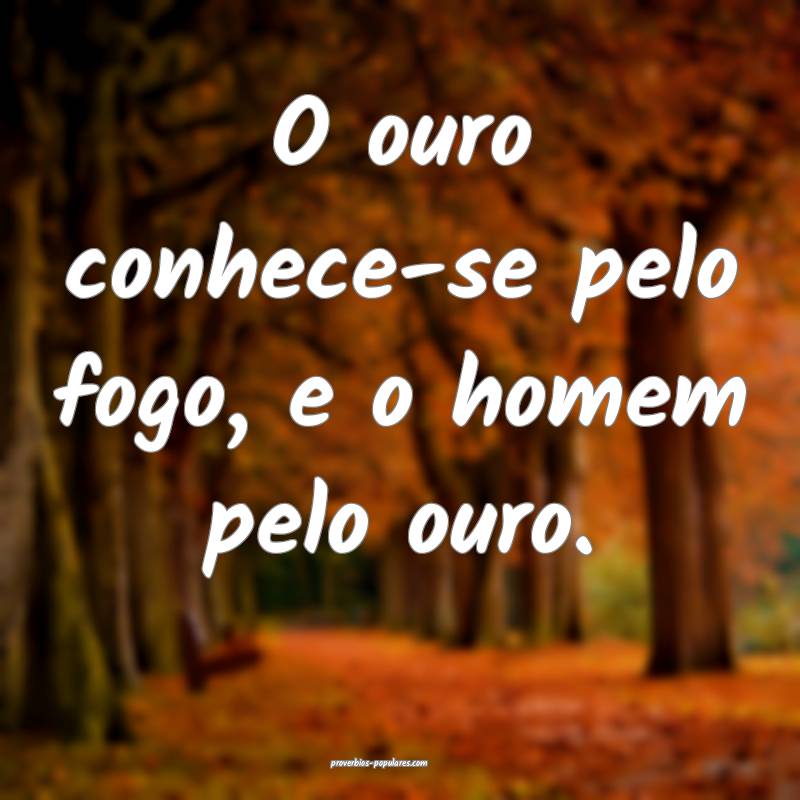 O ouro conhece-se pelo fogo, e o homem pelo ouro.
...