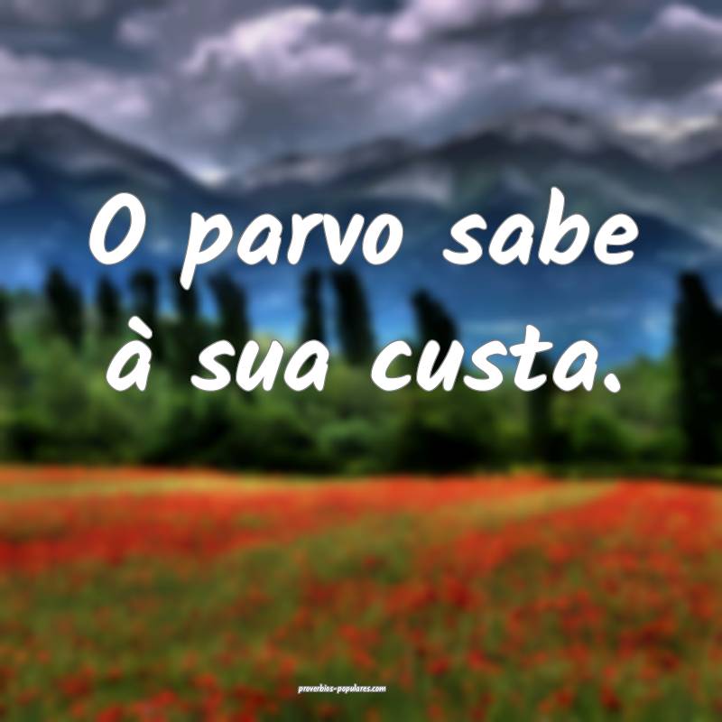 O parvo sabe à sua custa.
 ...