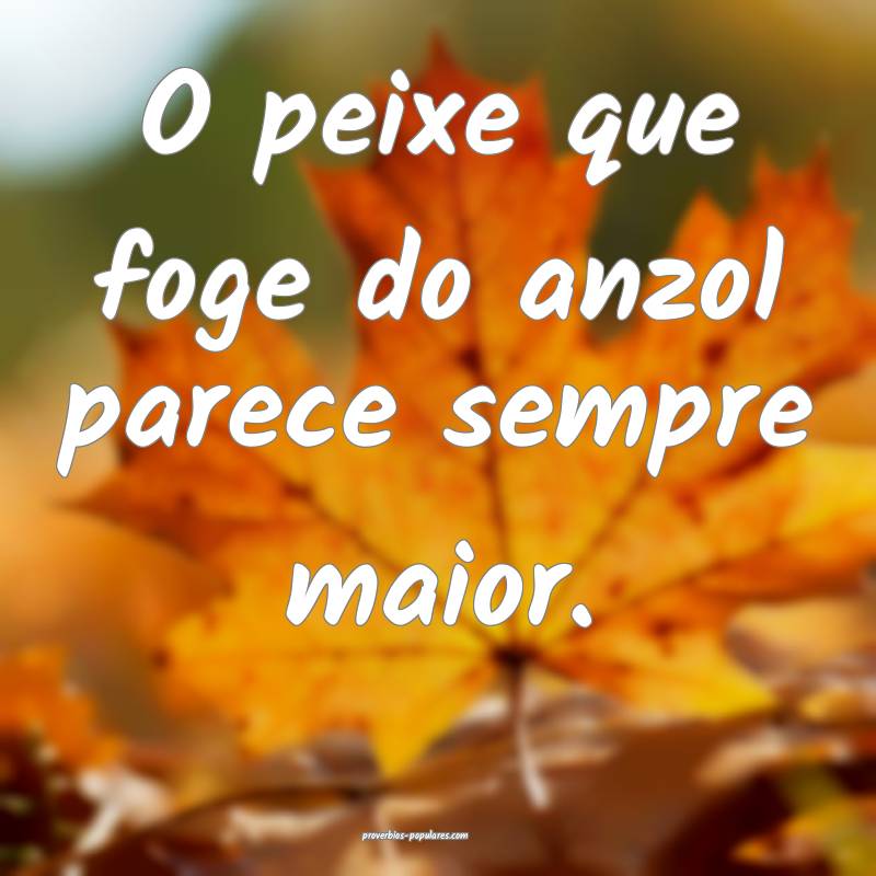 O peixe que foge do anzol parece sempre maior.
...