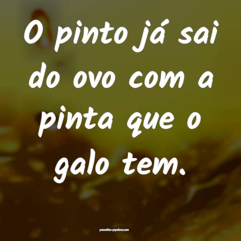 O pinto já sai do ovo com a pinta que o galo tem.
...