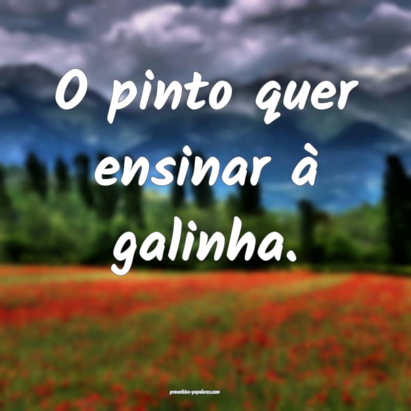 O pinto quer ensinar à galinha.
 ...
