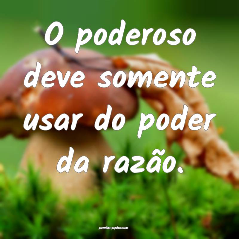 O poderoso deve somente usar do poder da razão.
...