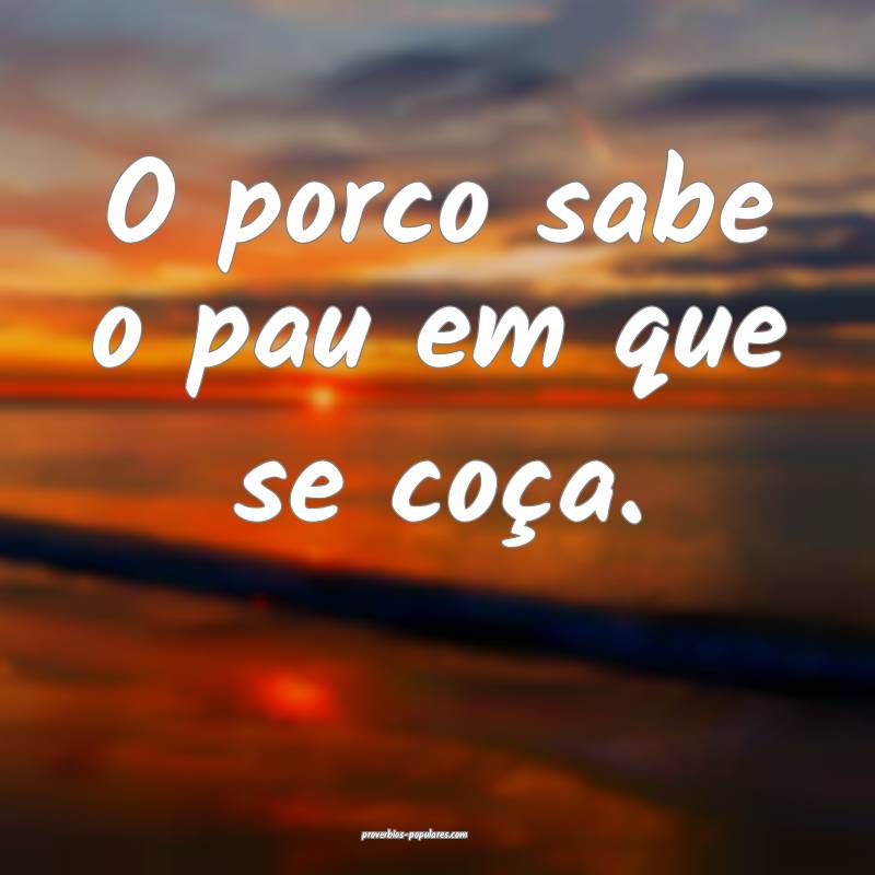 O porco sabe o pau em que se coça.
 ...