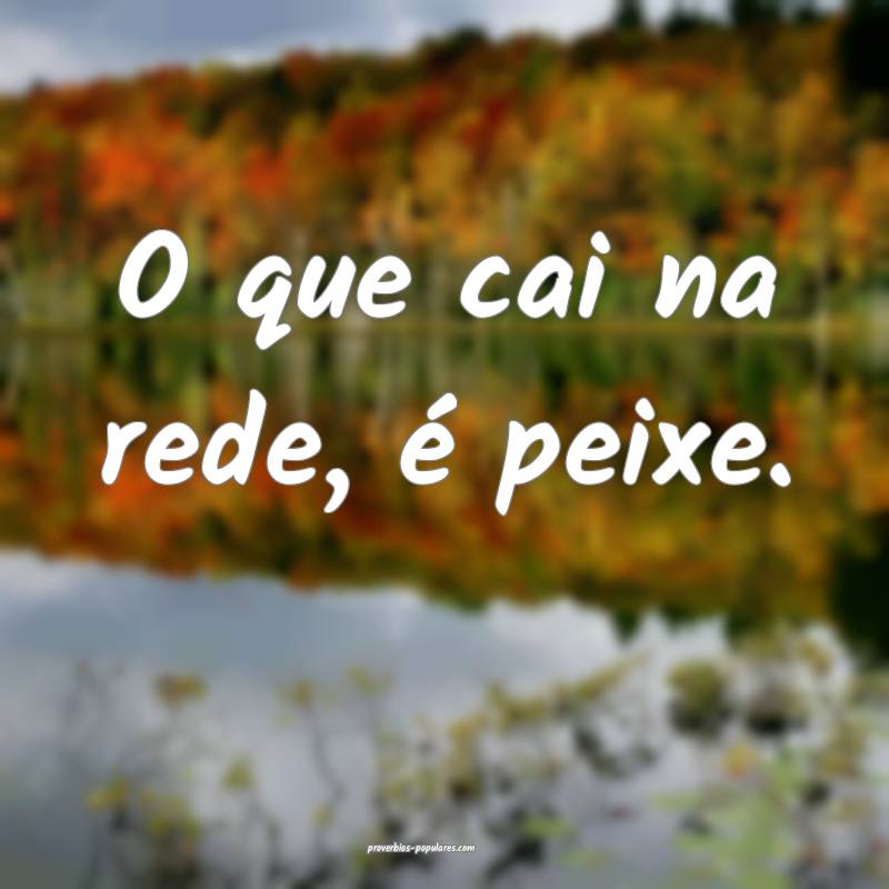 O que cai na rede, é peixe.
...