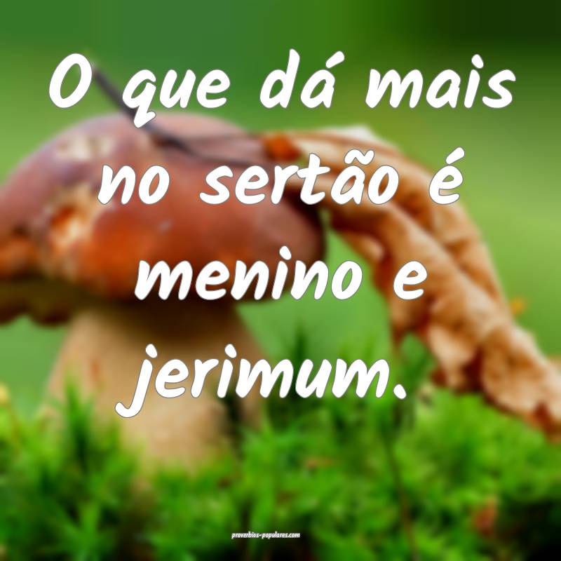 O que dá mais no sertão é menino e jerimum.
...