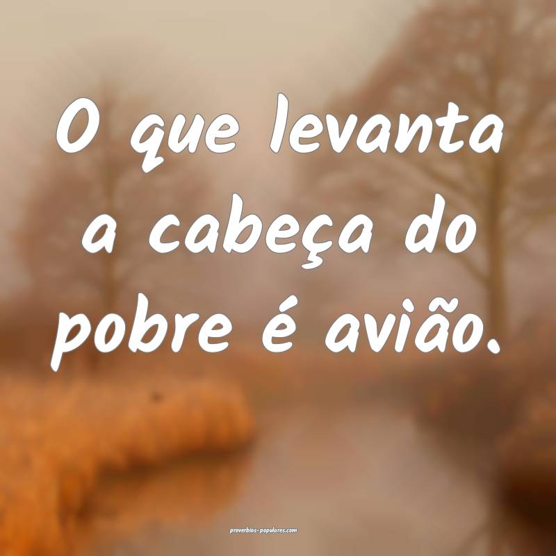 O que levanta a cabeça do pobre é avião.
...