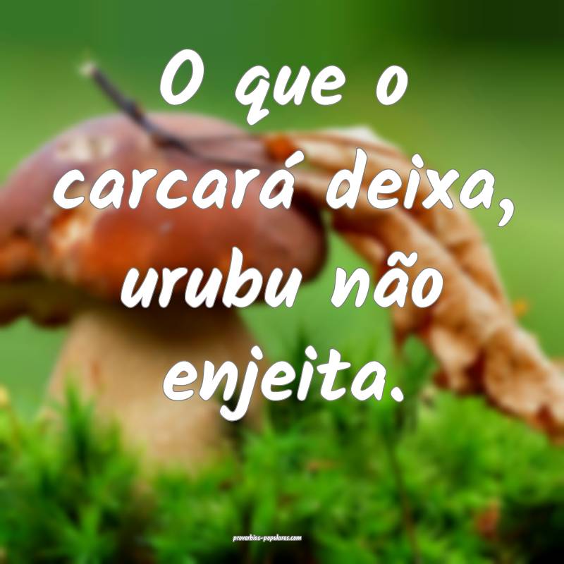 O que o carcará deixa, urubu não enjeita.
 ...