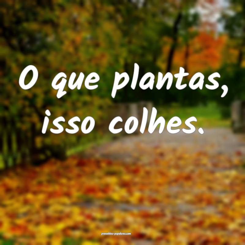 O que plantas, isso colhes.
 ...
