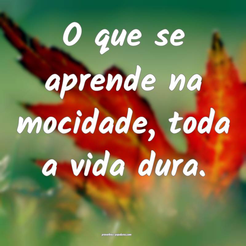 O que se aprende na mocidade, toda a vida dura.
 ...