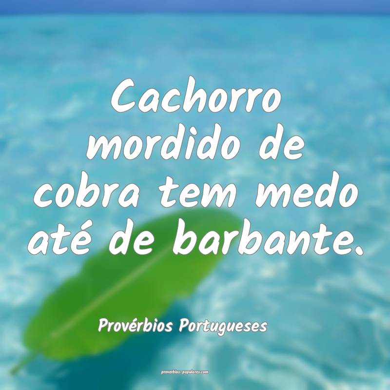 Cachorro mordido de cobra tem medo até de barbante.
...