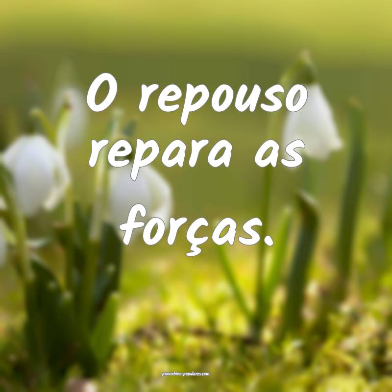 O repouso repara as forças.
 ...
