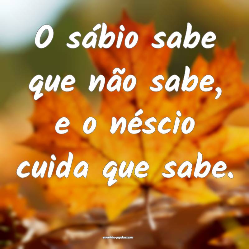 O sábio sabe que não sabe, e o néscio cuida que sabe.
...