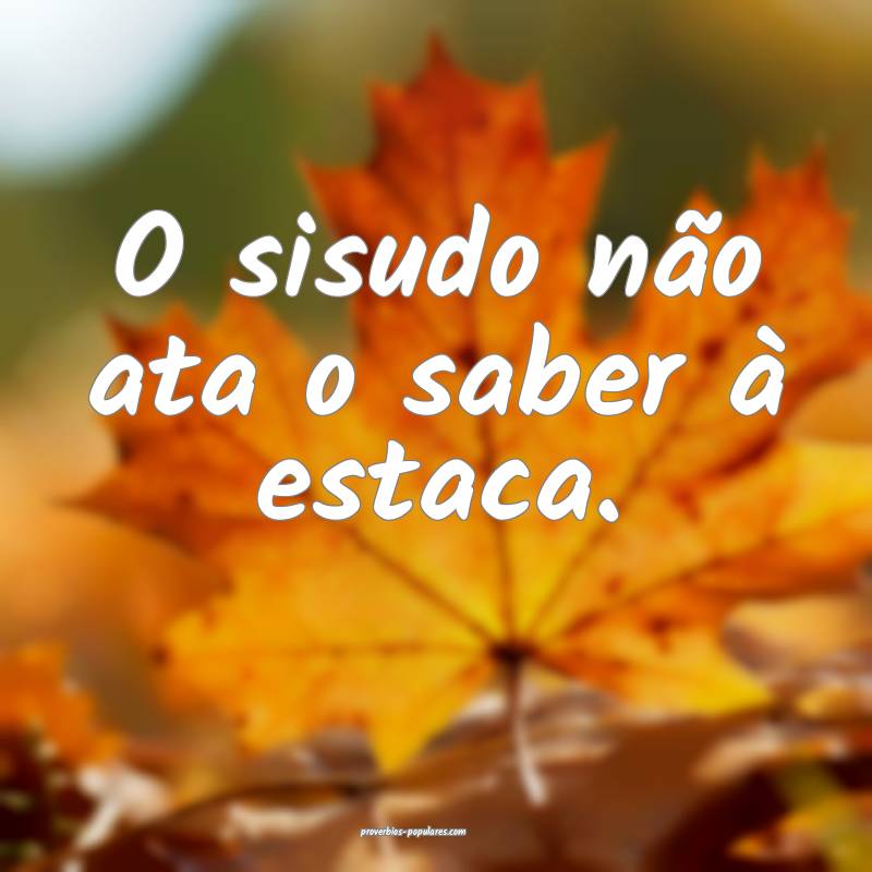 O sisudo não ata o saber à estaca.
...