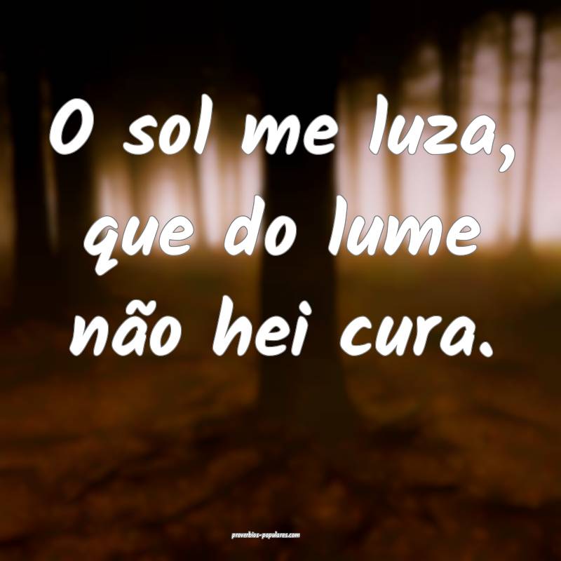 O sol me luza, que do lume não hei cura.
 ...