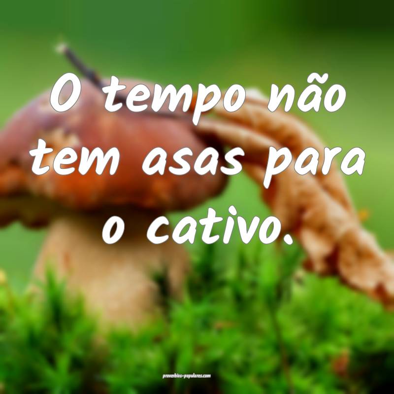 O tempo não tem asas para o cativo.
...