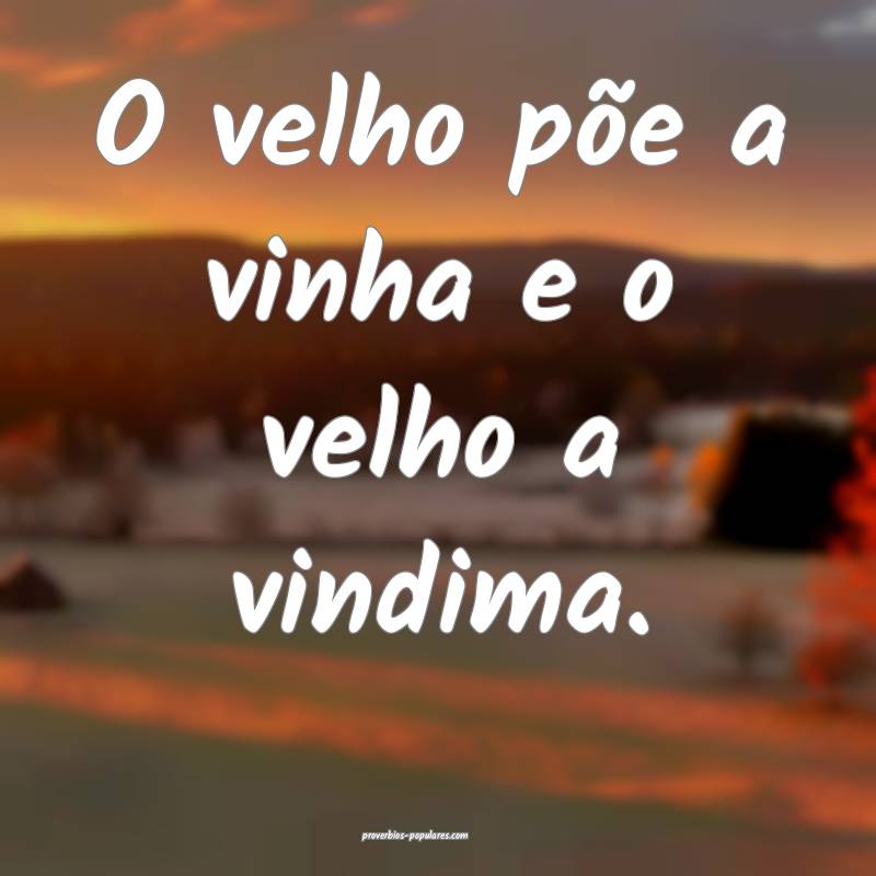 O velho põe a vinha e o velho a vindima.
...