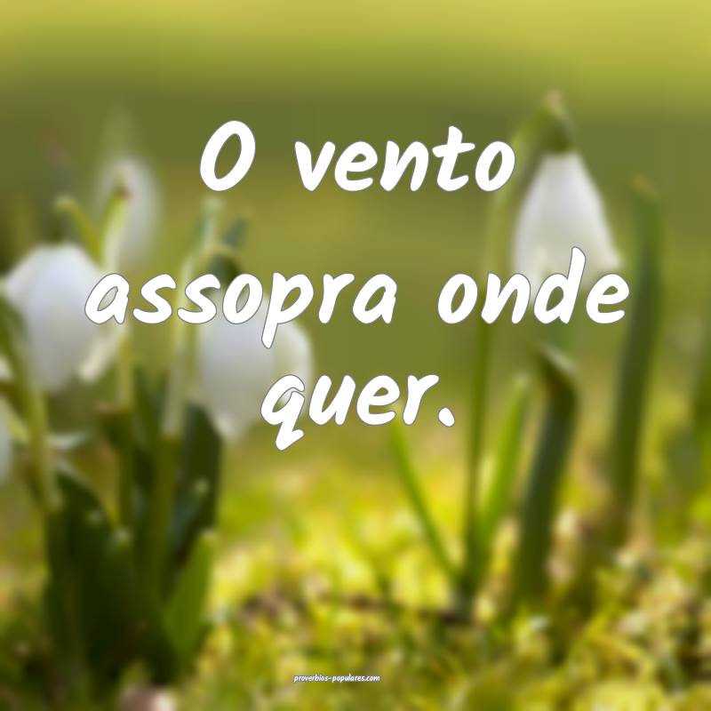 O vento assopra onde quer.
...