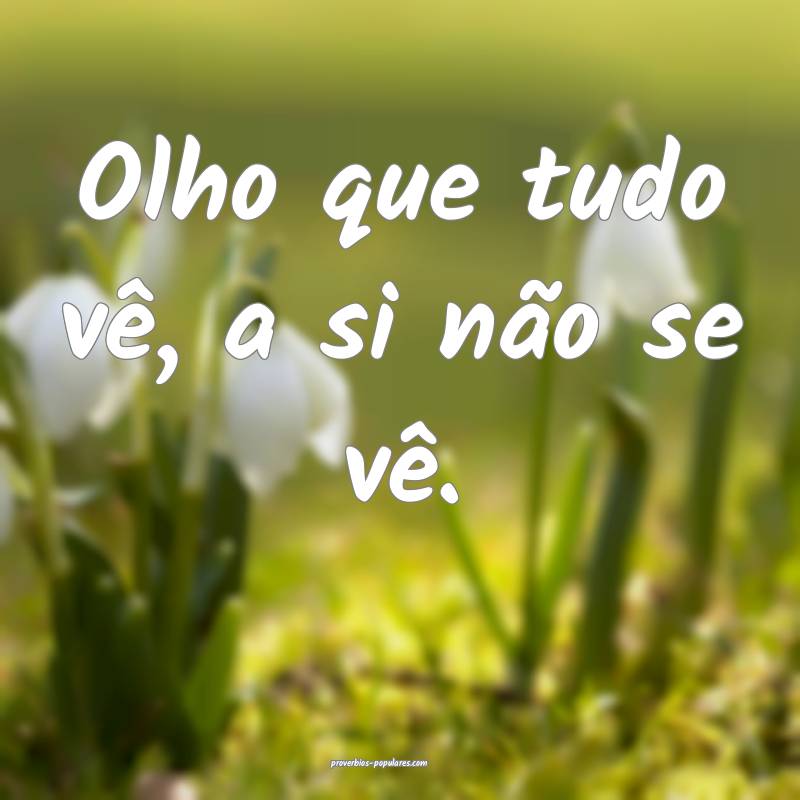 Olho que tudo vê, a si não se vê.
 ...