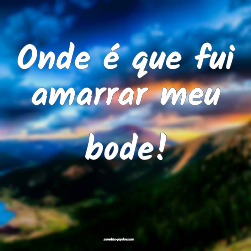 Onde é que fui amarrar meu bode!
 ...