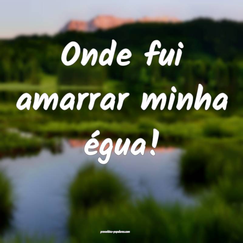 Onde fui amarrar minha égua!
...