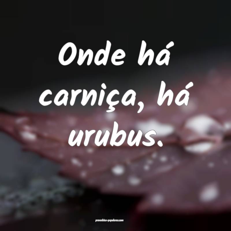 Onde há carniça, há urubus.
...