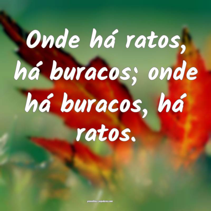 Onde há ratos, há buracos; onde há buracos, há ratos.
...