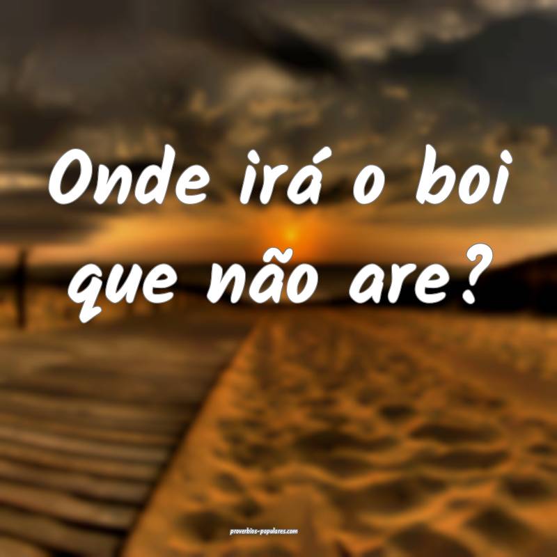 Onde irá o boi que não are?
 ...