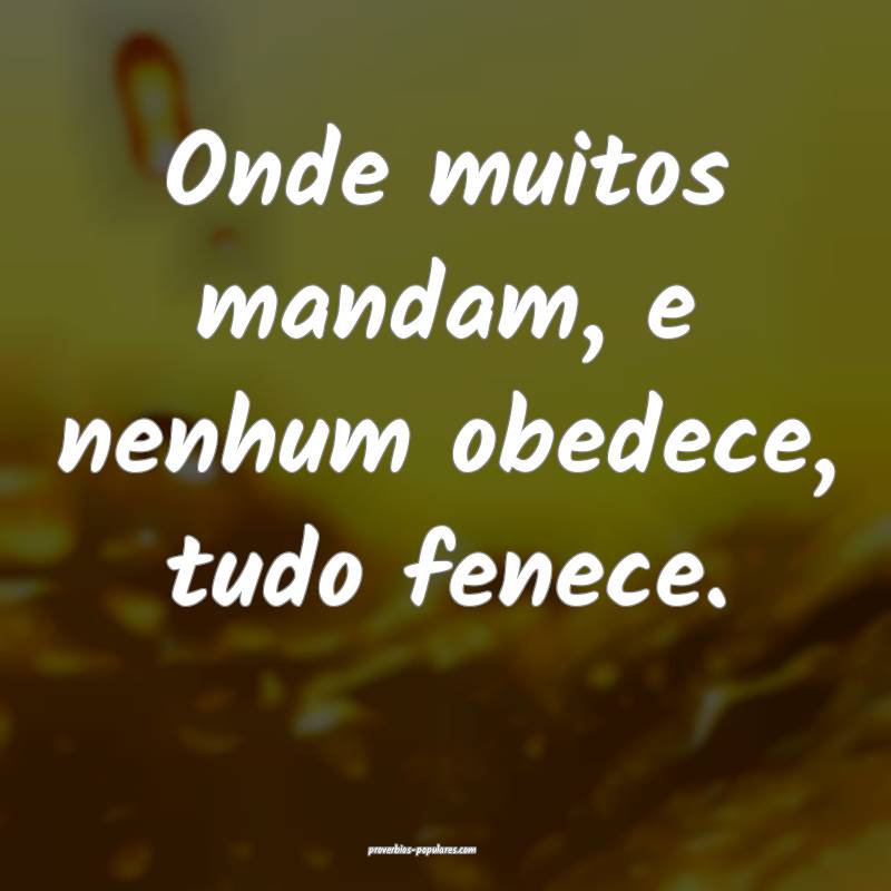 Onde muitos mandam, e nenhum obedece, tudo fenece.
...
