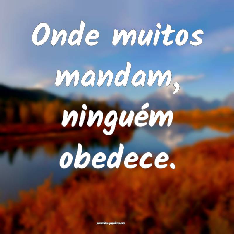 Onde muitos mandam, ninguém obedece.
...
