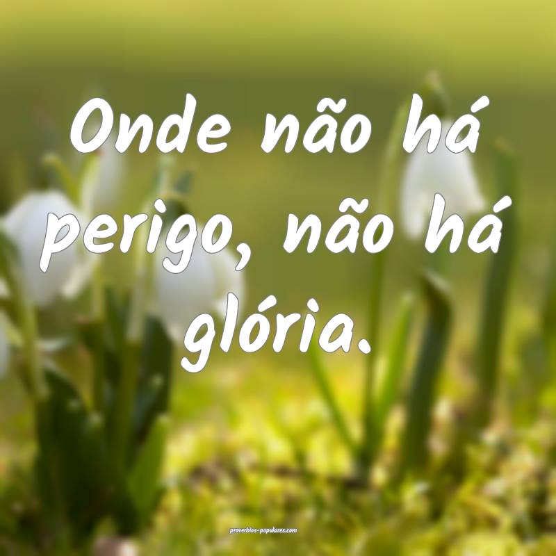 Onde não há perigo, não há glória.
...