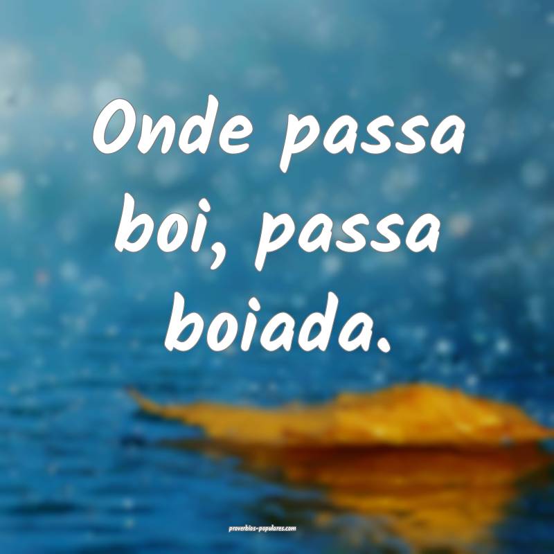 Onde passa boi, passa boiada.
...