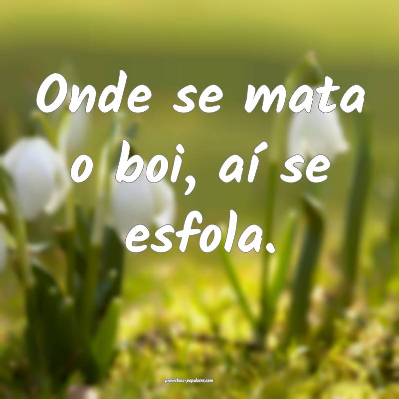 Onde se mata o boi, aí se esfola.
...