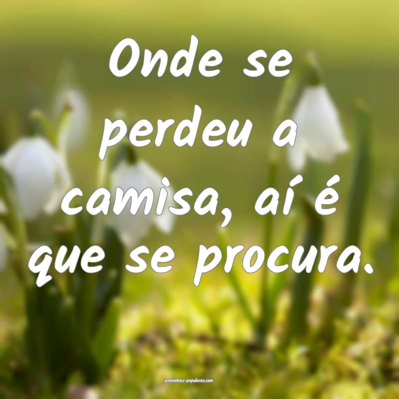 Onde se perdeu a camisa, aí é que se procura.
...