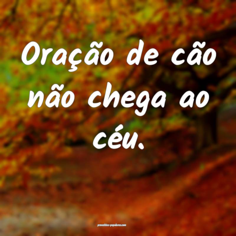 Oração de cão não chega ao céu.
 ...